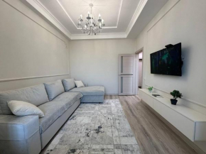 Harmony apartment in the city center